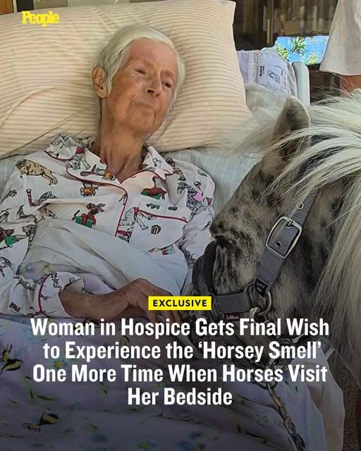 A hospice patient saw her final wish fulfilled when two horses walked up to her bedside. Click the link in the first comment for the full story ⬇️